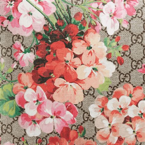 gucci red floral print|gucci floral background.